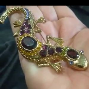 Purple Geico brooch.